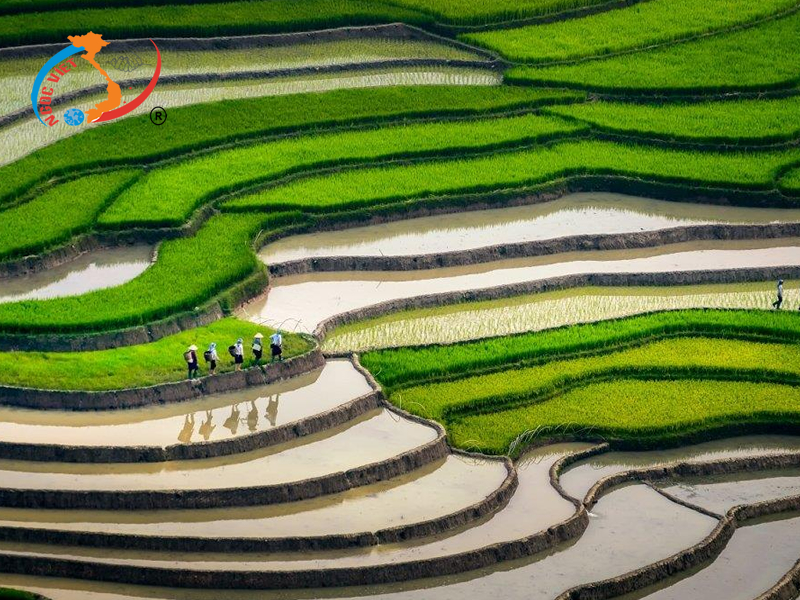 4. Mù Cang Chải 4. Mù Cang Chải