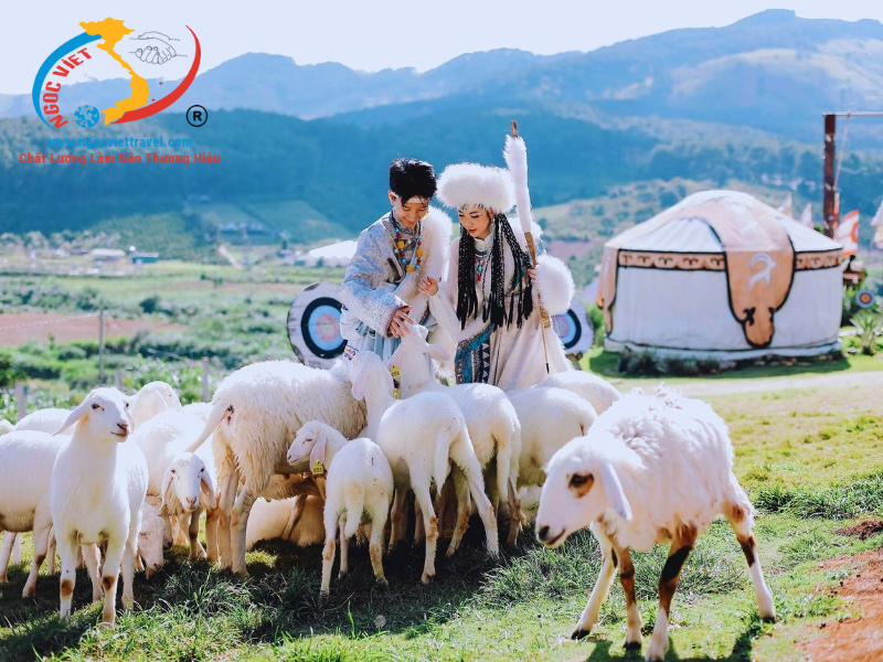 TOUR ĐÀ LẠT 3 NGÀY - NÔNG TRẠI CÚN PUPPYFARM - CAO NGUYÊN HOA ĐÀ LẠT - SAMTEN HILLS