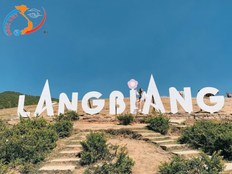 TOUR ĐÀ LẠT, TẾT BÍNH NGỌ - GIAO LƯU CỒNG CHIÊNG - MONGO LAND – KDL FRESH GARDEN - SAMTEN HILL