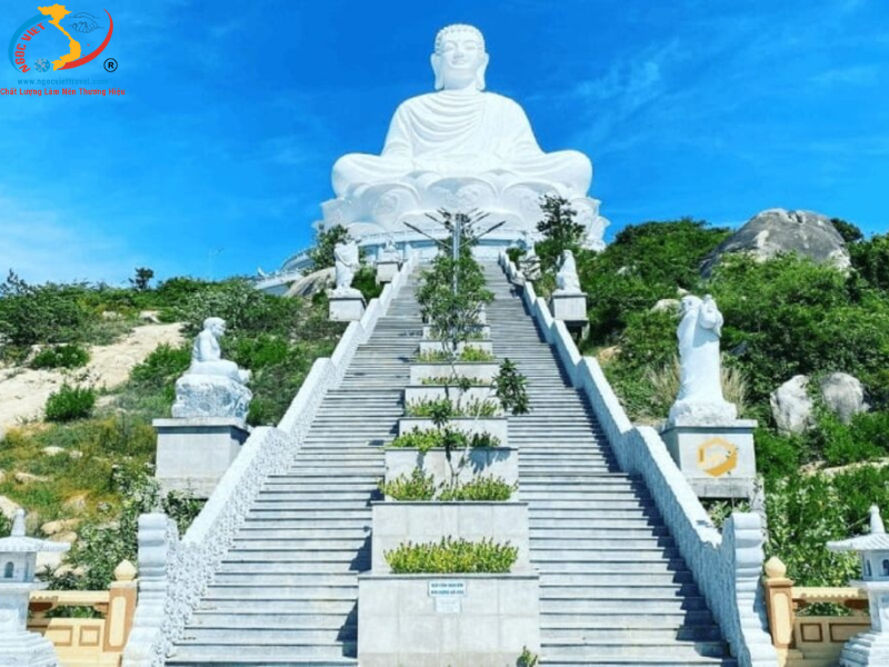 TOUR QUY NHƠN - PHÚ YÊN - TỐI THỨ 5 HÀNG TUẦN - XE VIP LIMOUSINE - 3 NGÀY 3 ĐÊM