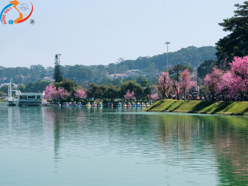 TOUR ĐÀ LẠT - THÀNH PHỐ NGÀN HOA - BESTSELLER MÙA TẾT BÍNH NGỌ